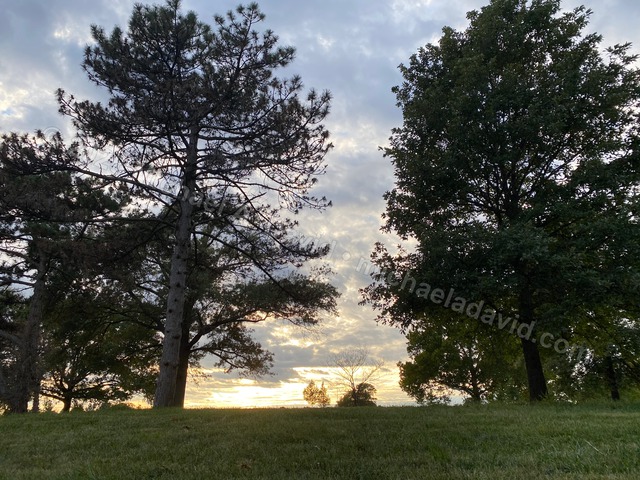 nature_2020-09-29 18.03.00-2020.jpg